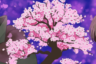 Nanami